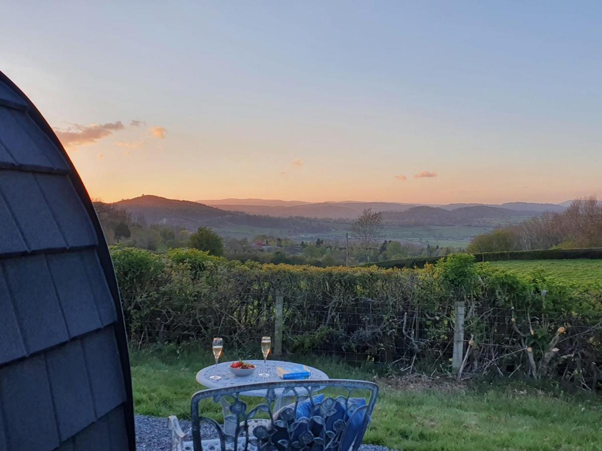 Odli Glamping - Luxury Glamping Pod Villa Welshpool Exterior foto